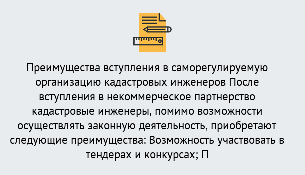 Почему нужно обратиться к нам? Осинники Что дает допуск СРО кадастровых инженеров?