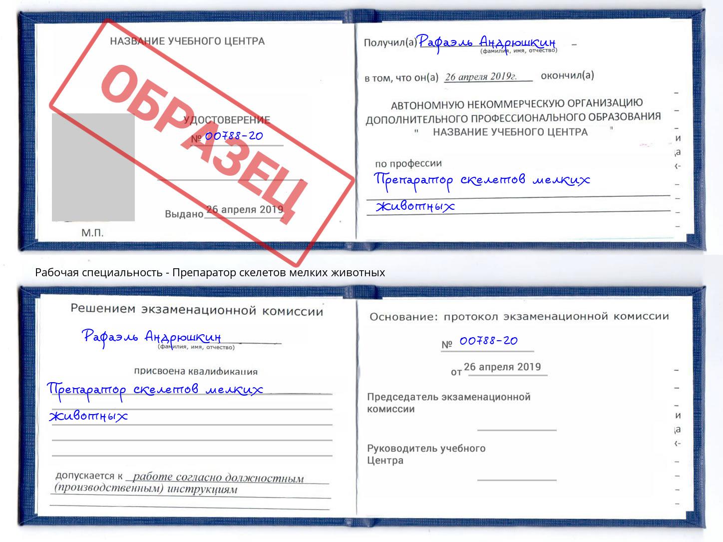 Препаратор скелетов мелких животных Осинники