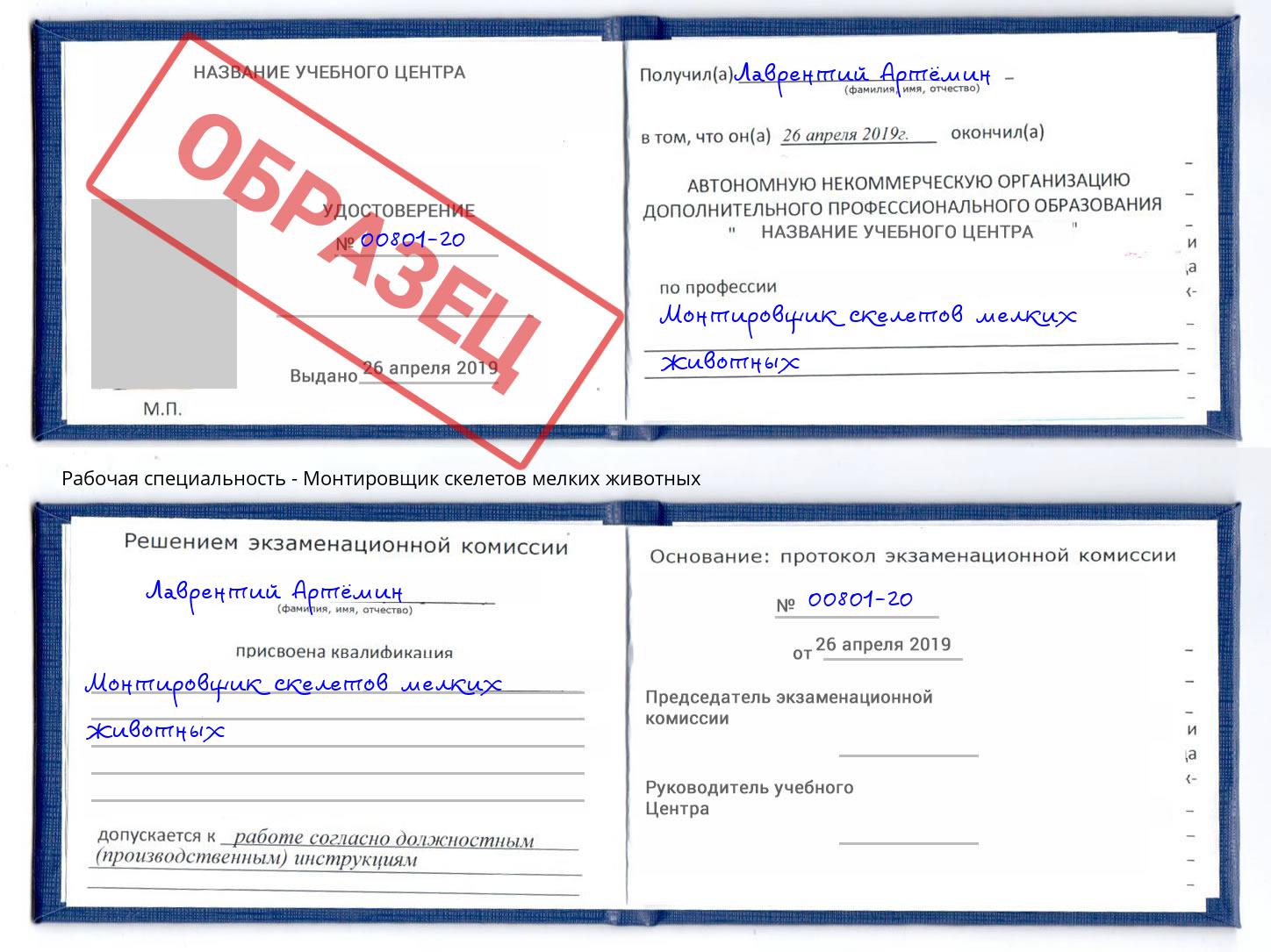 Монтировщик скелетов мелких животных Осинники