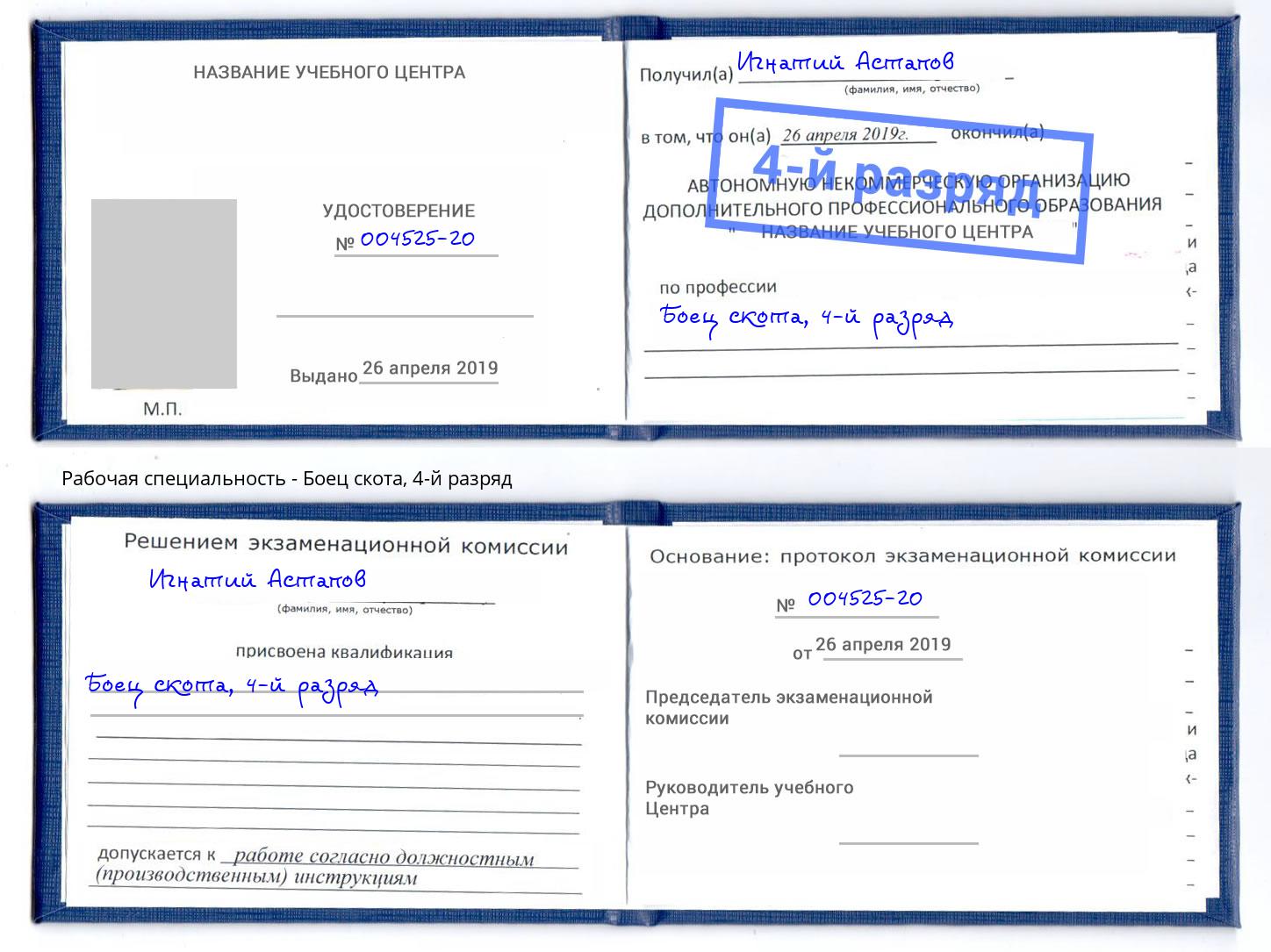 корочка 4-й разряд Боец скота Осинники